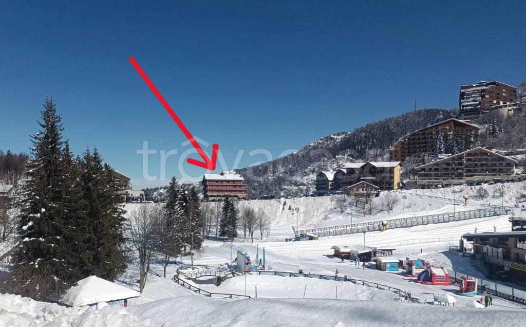 immagine annuncio 3 di 13