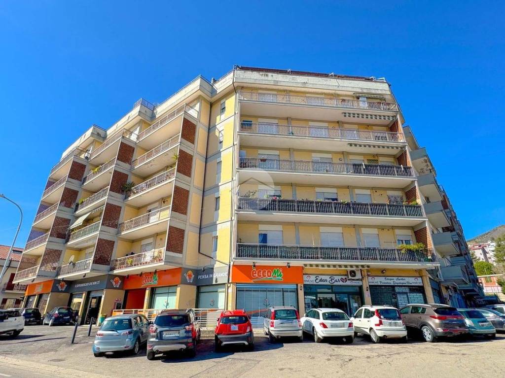 immagine annuncio 12 di 13