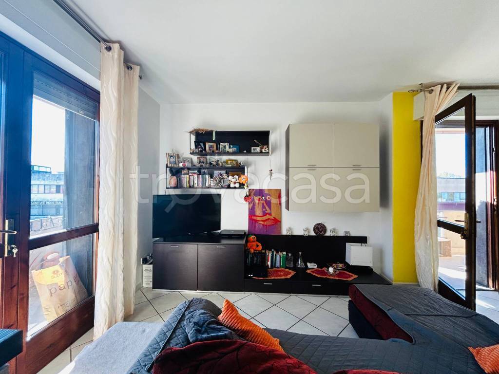 immagine annuncio 4 di 15