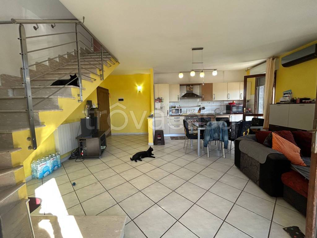 immagine annuncio 6 di 15