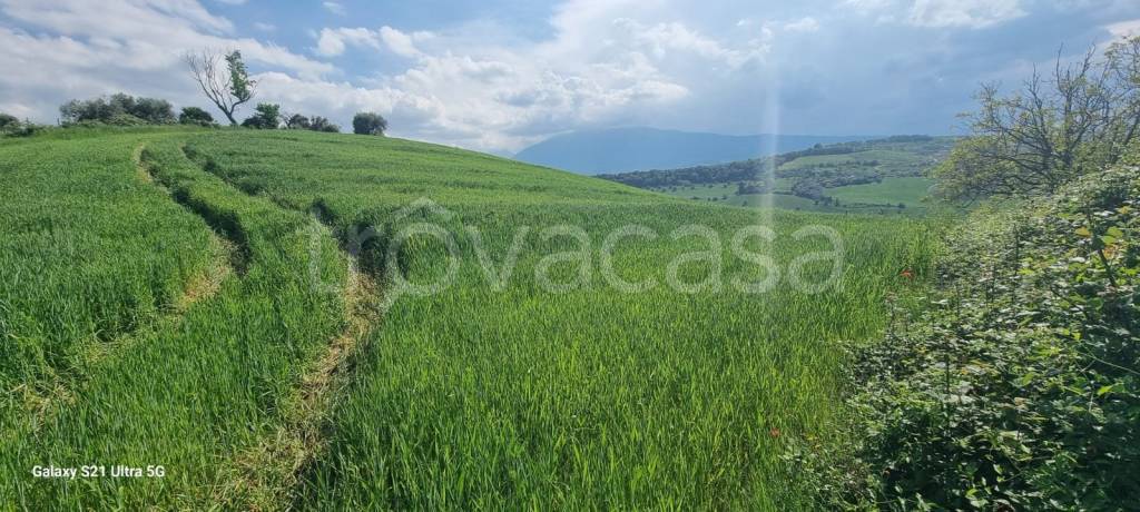 immagine annuncio 3 di 9