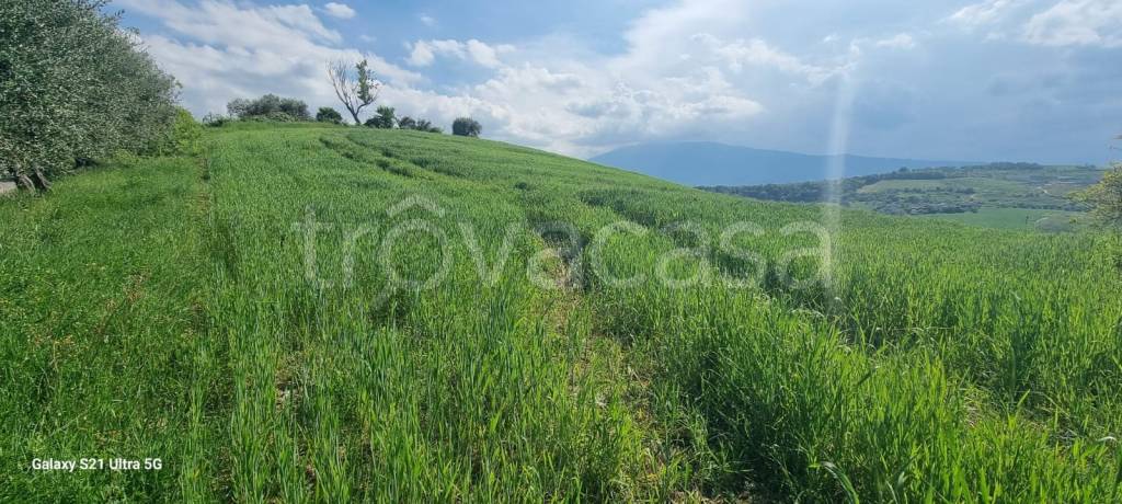 immagine annuncio 4 di 9