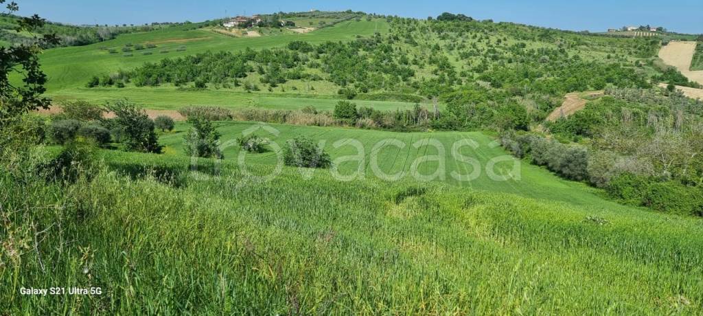 immagine annuncio 5 di 9