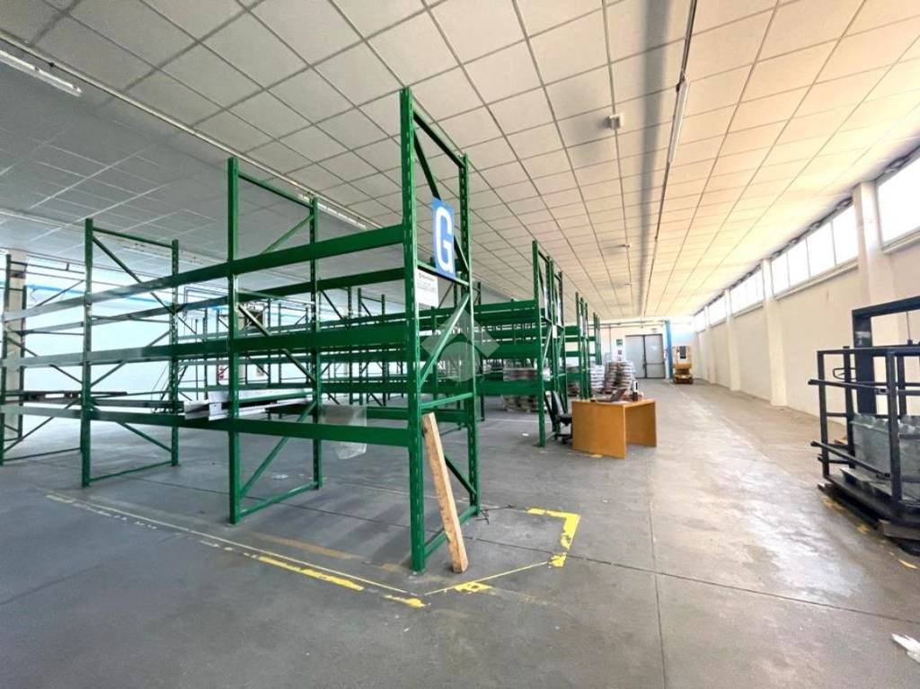 immagine annuncio 6 di 15