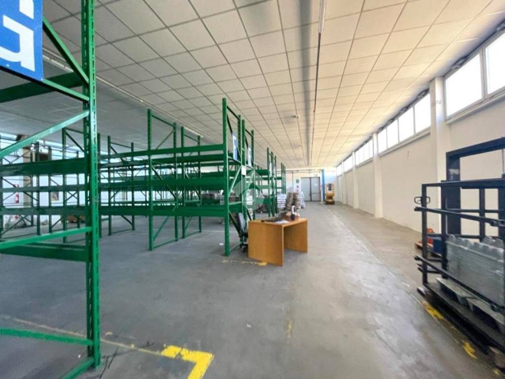 immagine annuncio 11 di 15