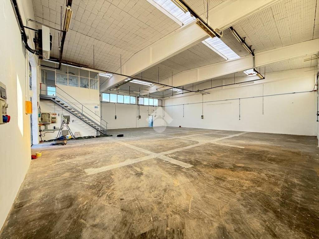 immagine annuncio 2 di 10