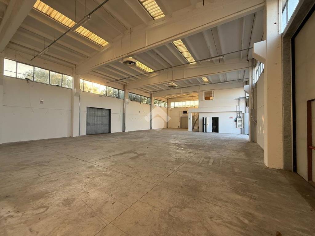 immagine annuncio 1 di 12