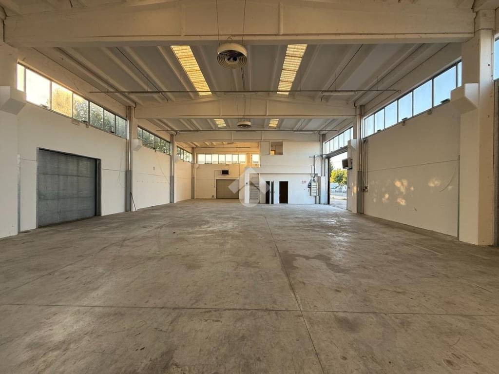 immagine annuncio 2 di 12