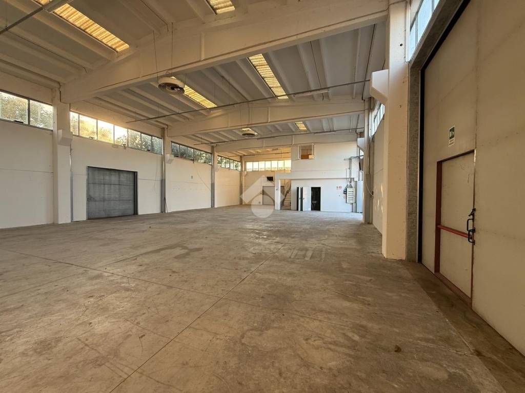 immagine annuncio 3 di 12