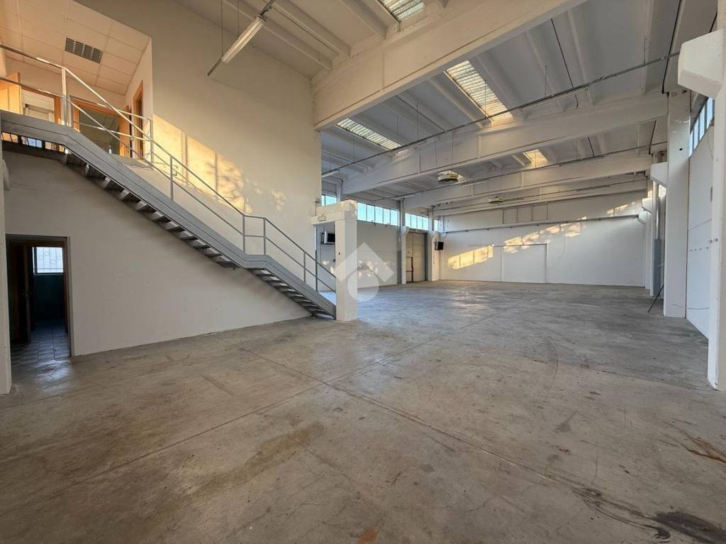 immagine annuncio 7 di 12