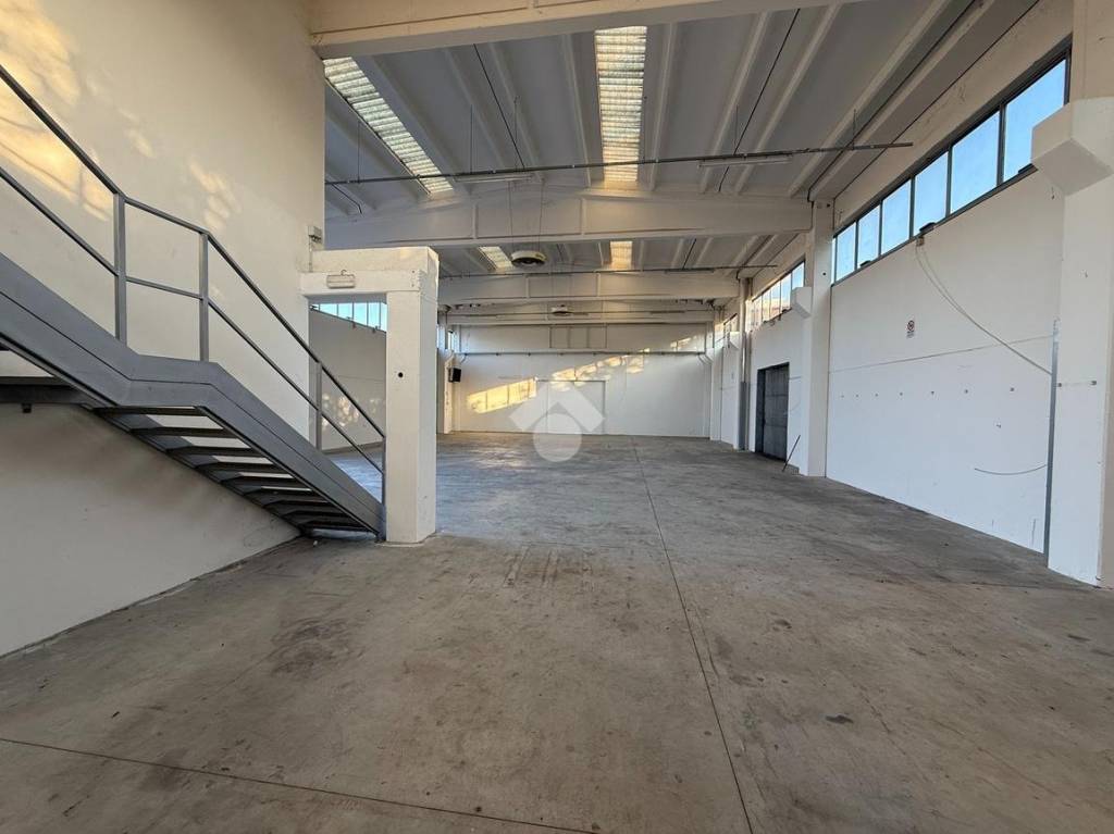 immagine annuncio 8 di 12