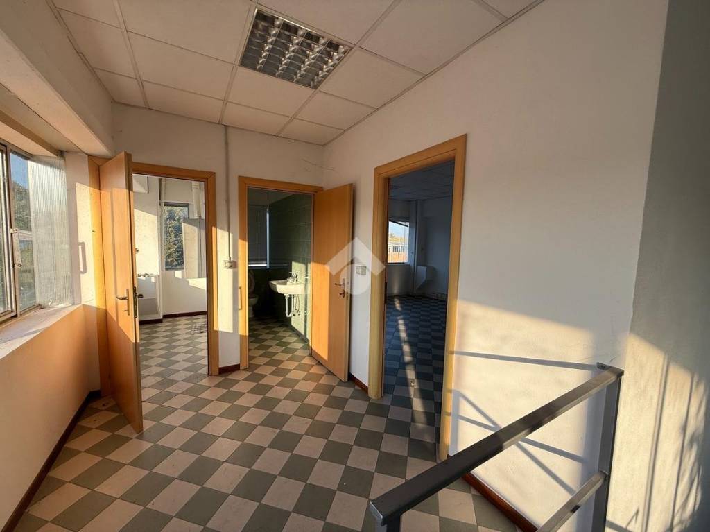 immagine annuncio 9 di 12