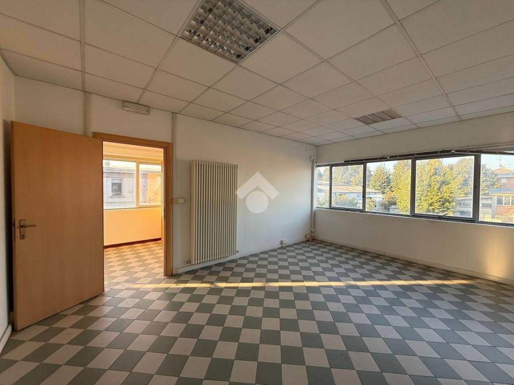 immagine annuncio 11 di 12