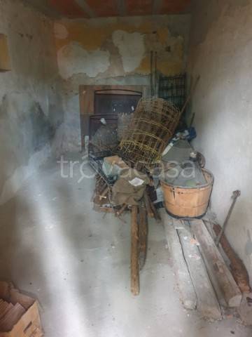 immagine annuncio 12 di 14