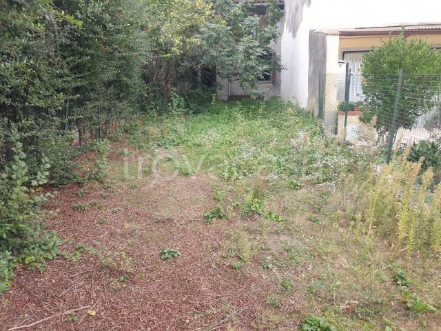 immagine annuncio 13 di 14