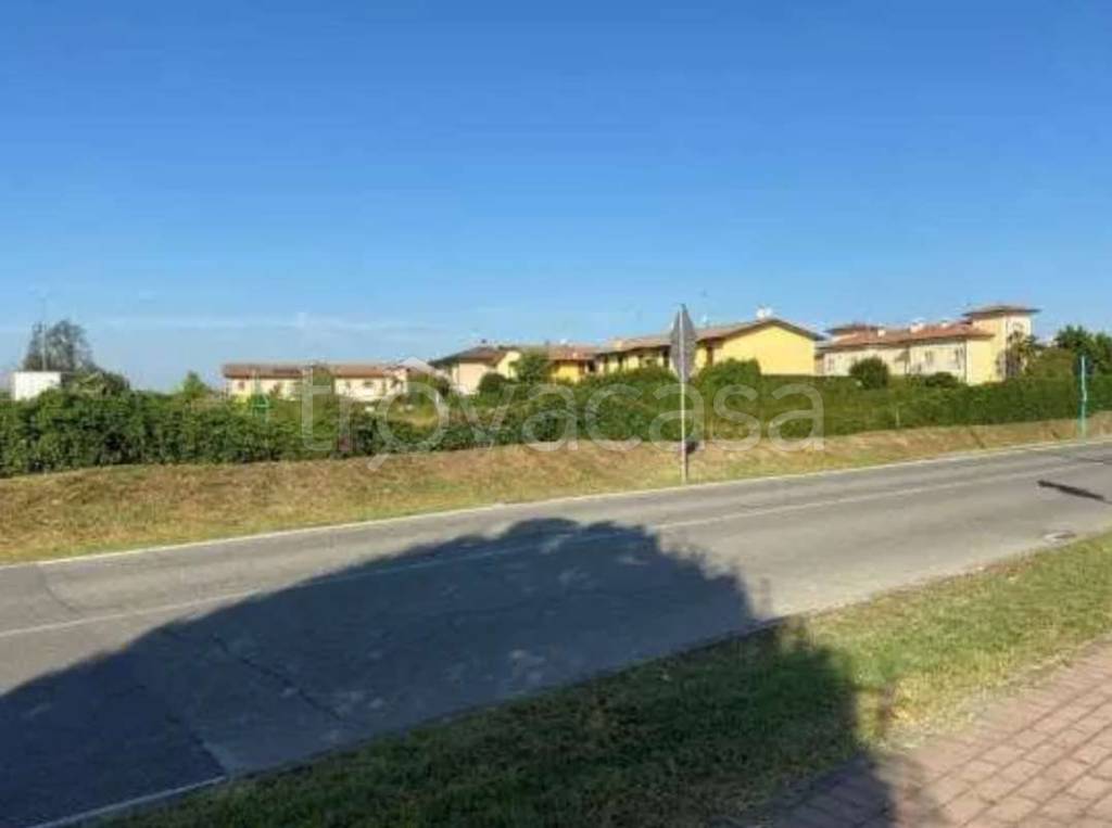 immagine annuncio 9 di 12