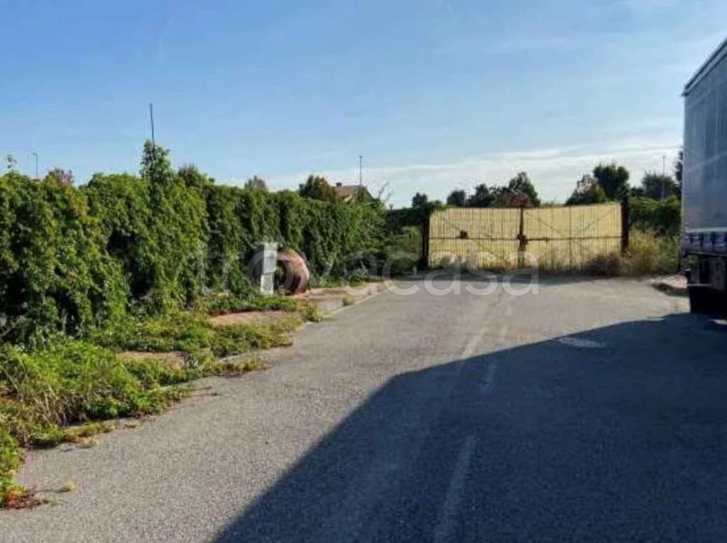 immagine annuncio 11 di 12