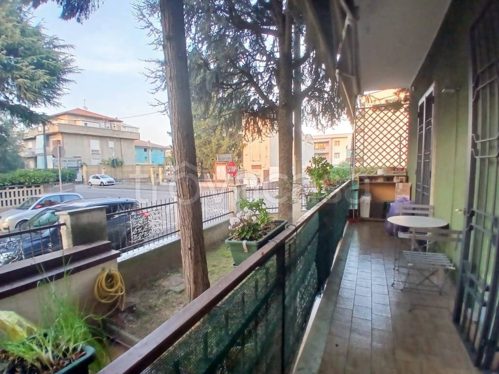 immagine annuncio 12 di 15