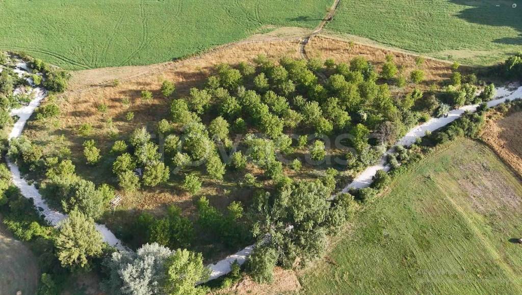 immagine annuncio 4 di 6