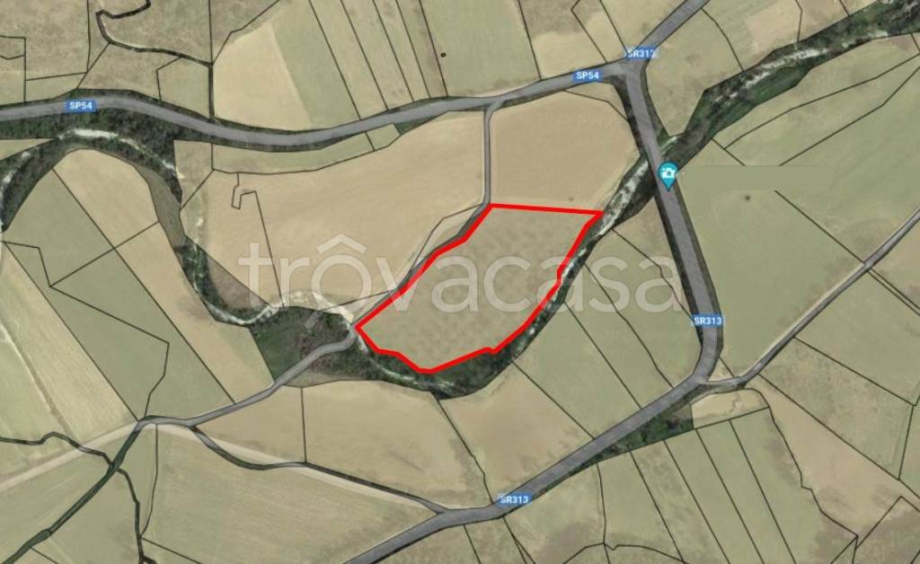 immagine annuncio 5 di 6