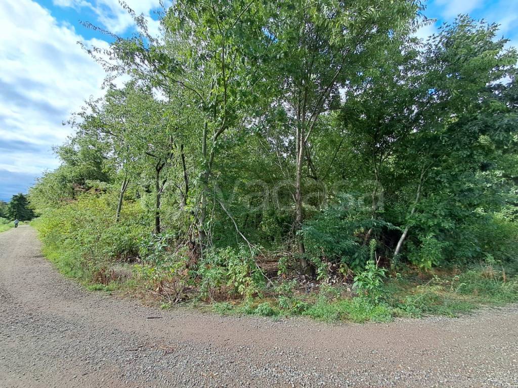 immagine annuncio 5 di 7