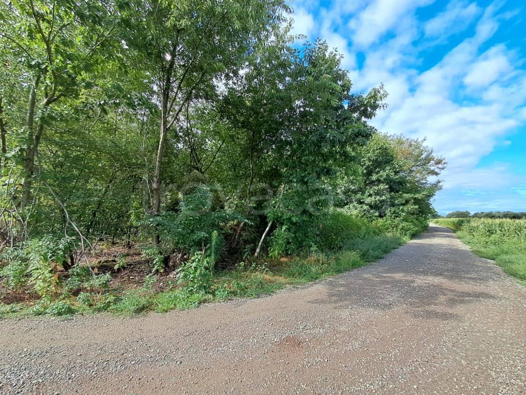 immagine annuncio 6 di 7