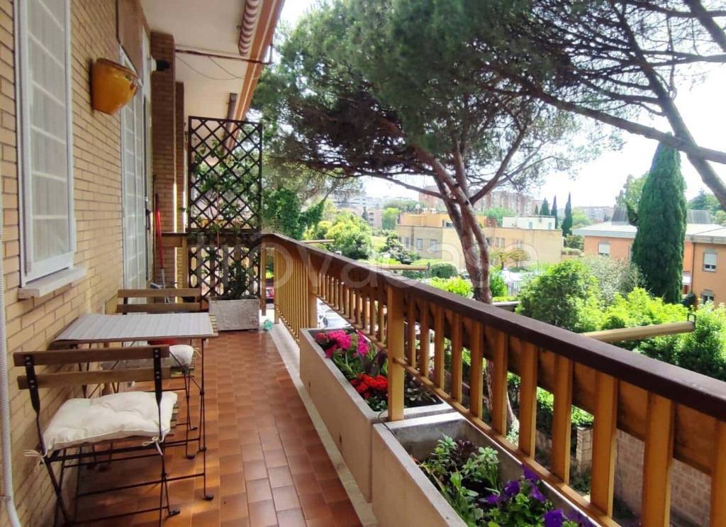 immagine annuncio 9 di 10