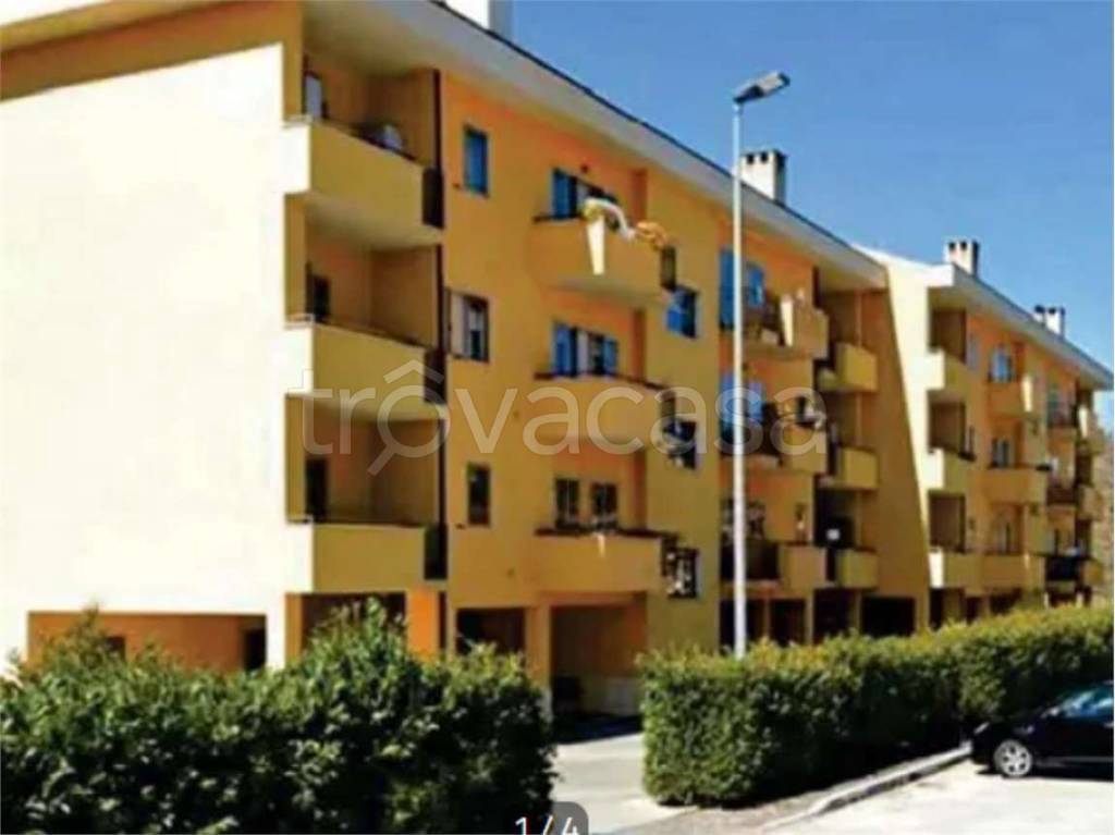 immagine annuncio 11 di 15