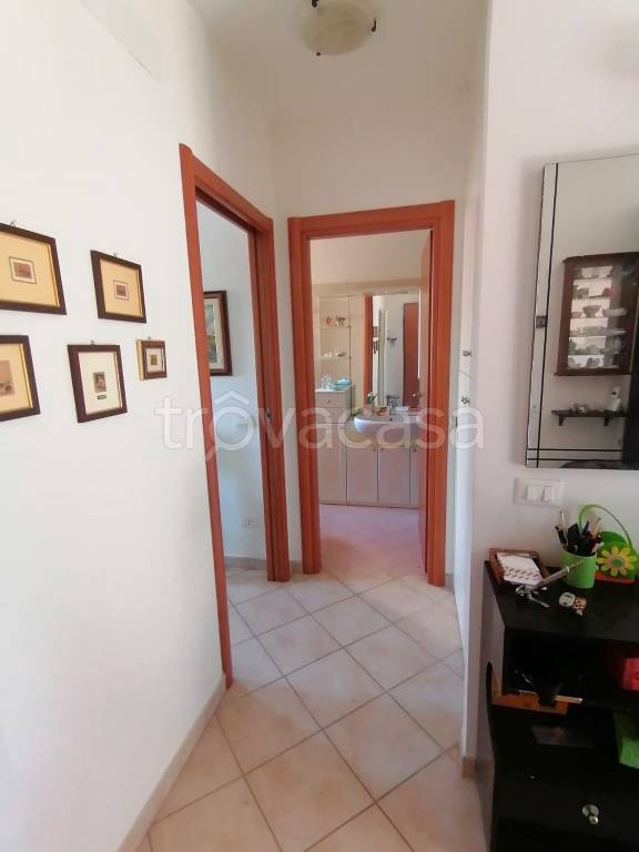 immagine annuncio 6 di 9