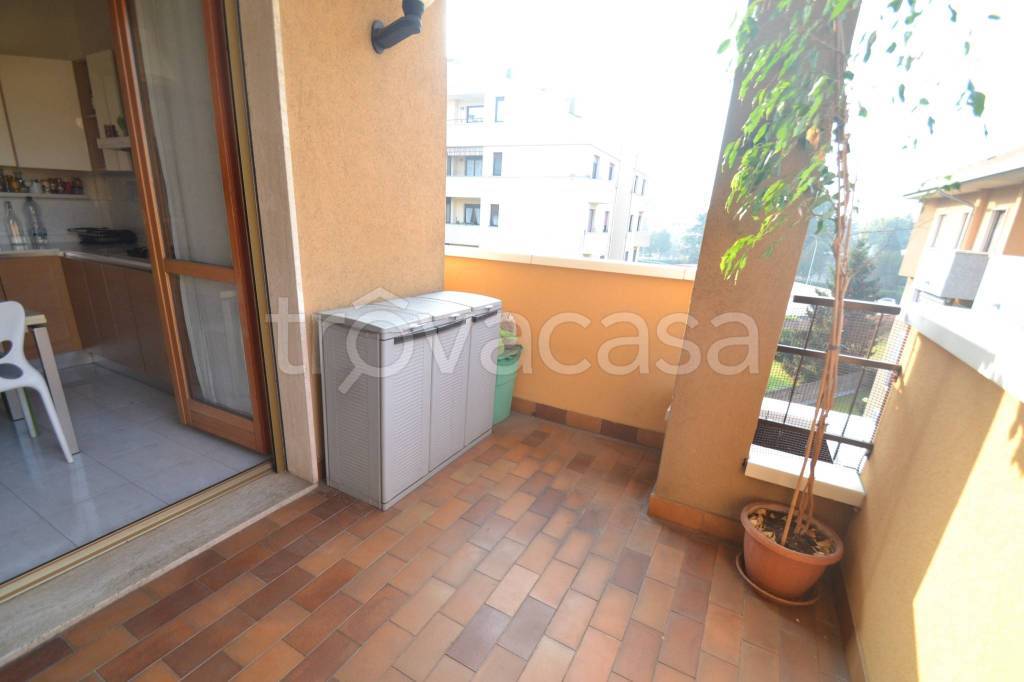 immagine annuncio 5 di 15