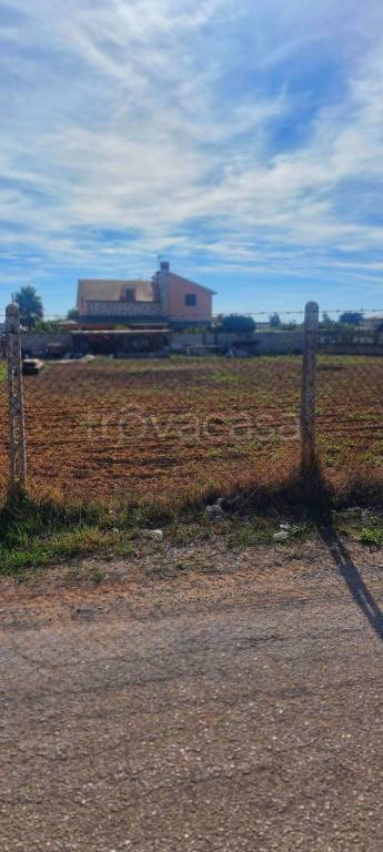 immagine annuncio 2 di 9