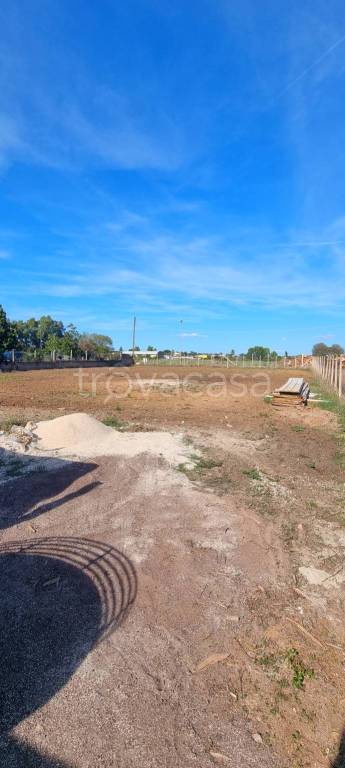 immagine annuncio 6 di 9