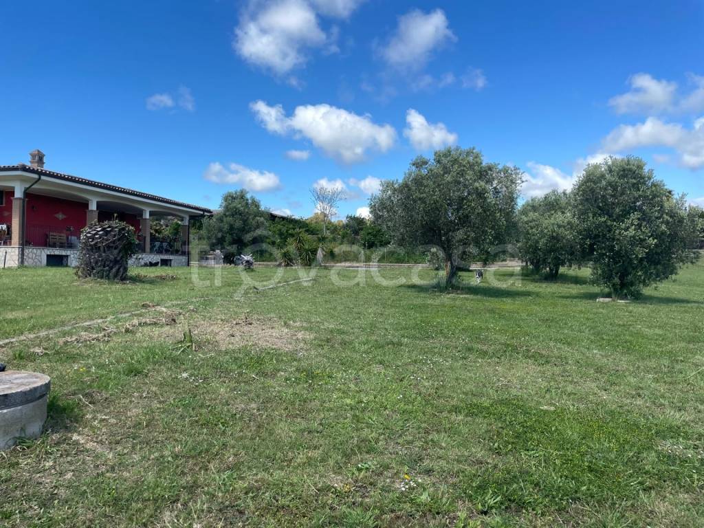 immagine annuncio 2 di 6