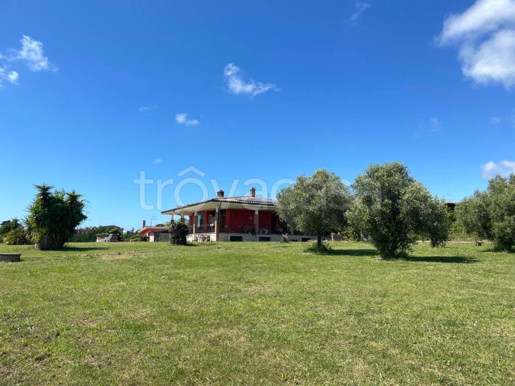 immagine annuncio 3 di 6