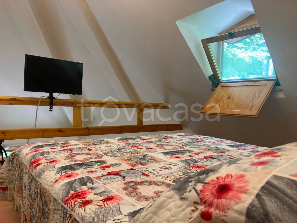 immagine annuncio 9 di 14