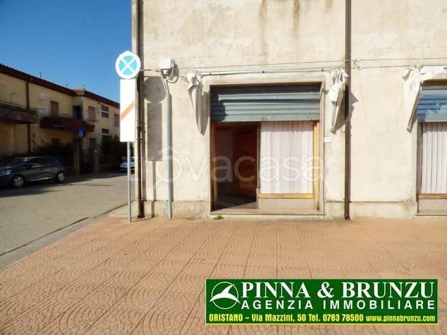 immagine annuncio 6 di 14