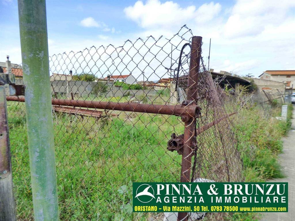 immagine annuncio 11 di 14