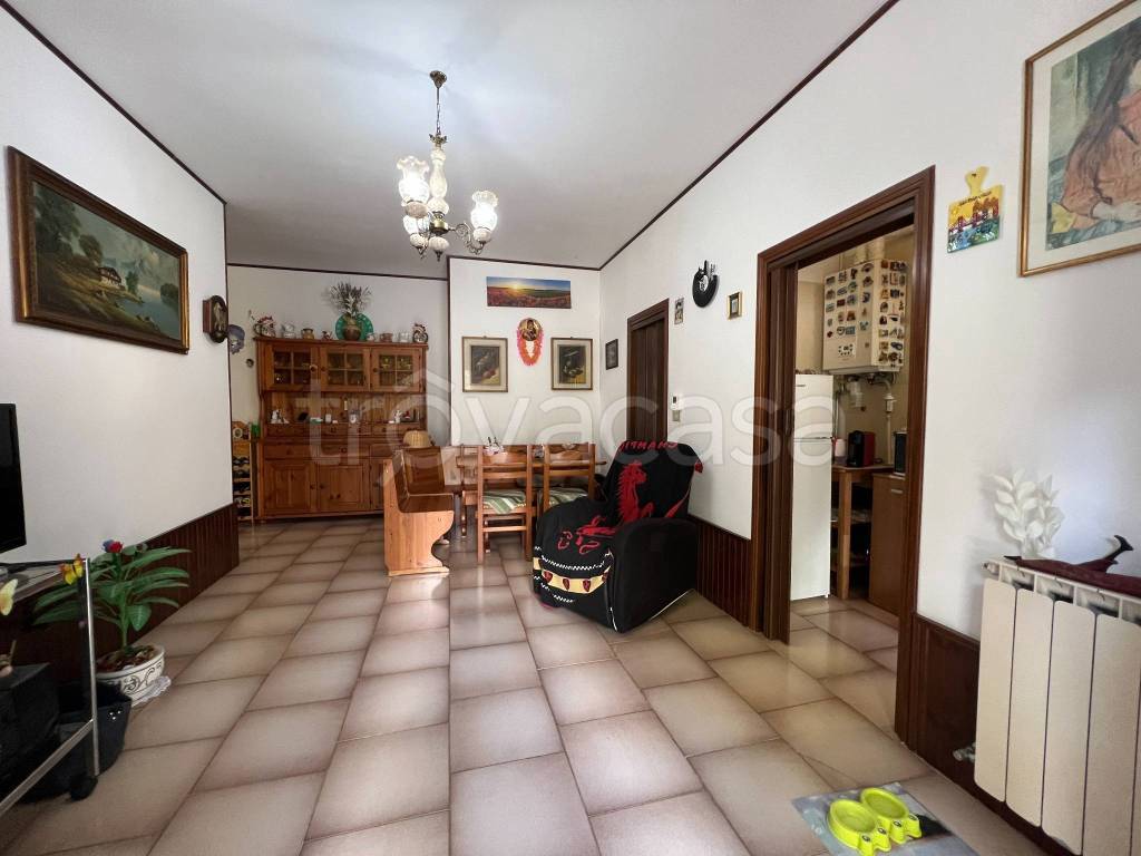 immagine annuncio 1 di 14