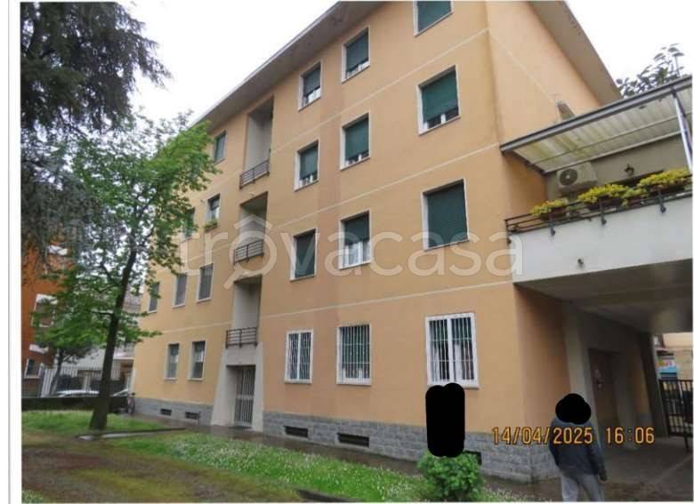 immagine annuncio 2 di 12