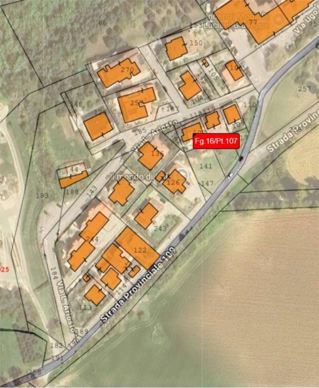 immagine annuncio 14 di 15