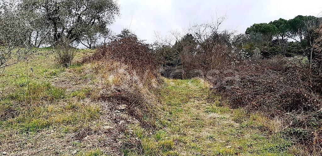 immagine annuncio 4 di 12