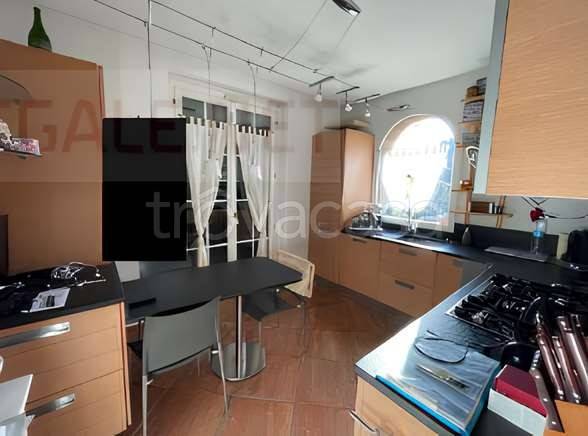 immagine annuncio 3 di 14