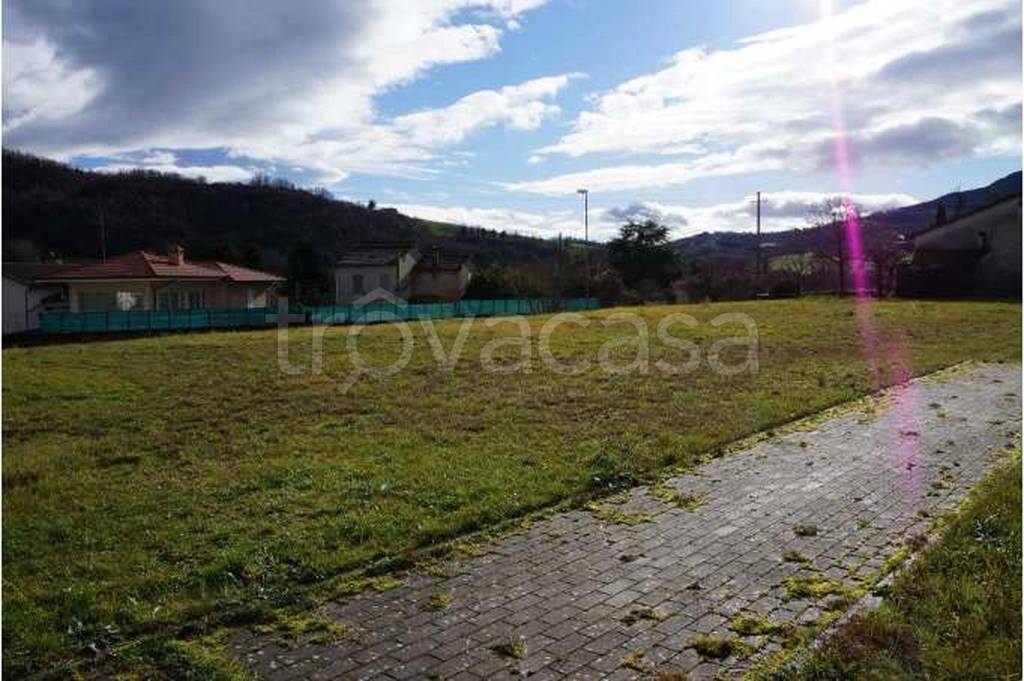 immagine annuncio 11 di 14