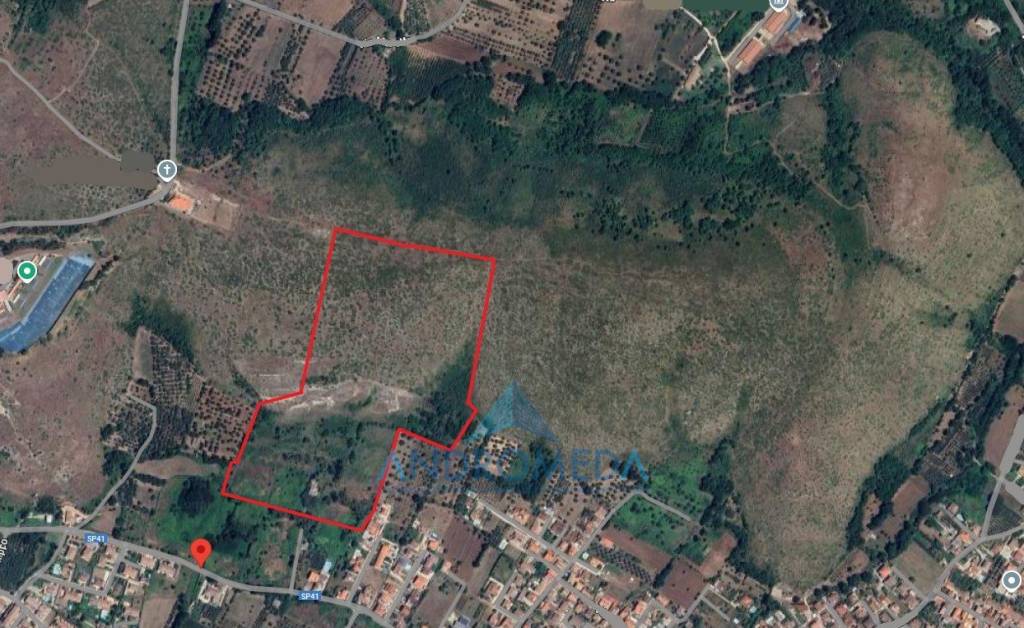 immagine annuncio 1 di 2