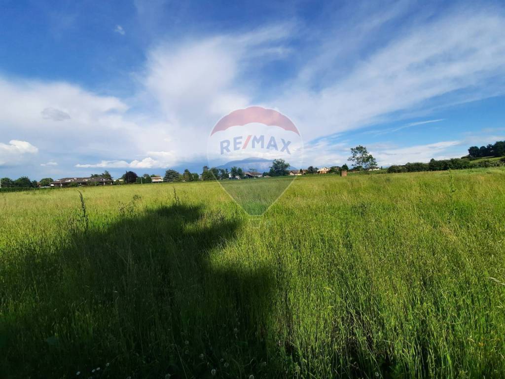 immagine annuncio 2 di 6