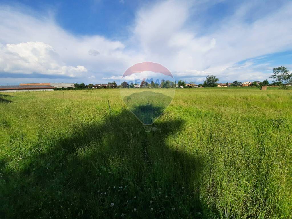 immagine annuncio 4 di 6