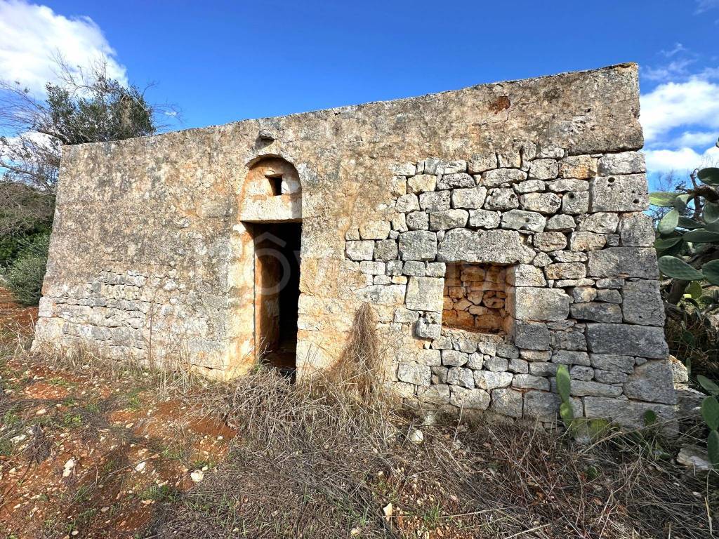 immagine annuncio 7 di 12