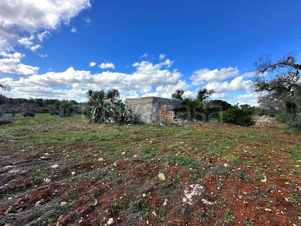 immagine annuncio 9 di 12