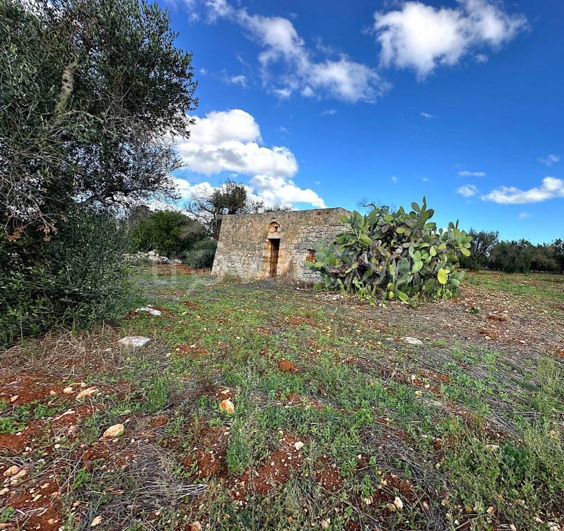 immagine annuncio 10 di 12