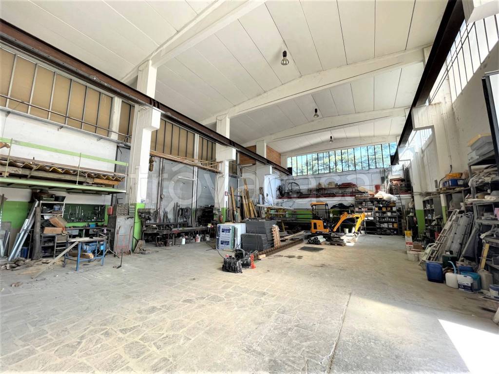 immagine annuncio 9 di 15